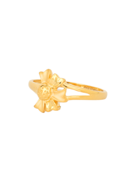 Ladies Causting Ring
