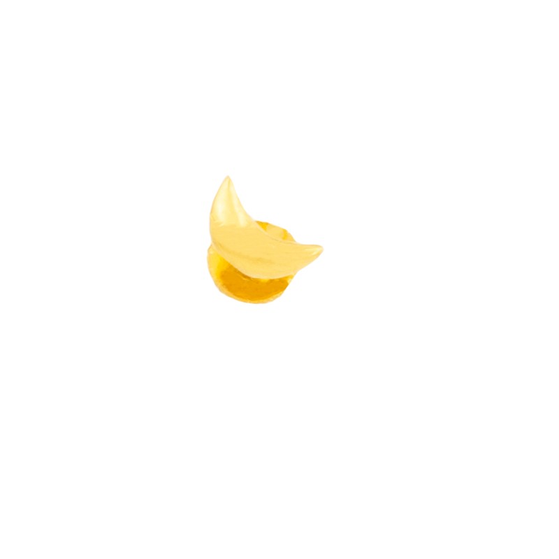 Nose Pin - Half Moon