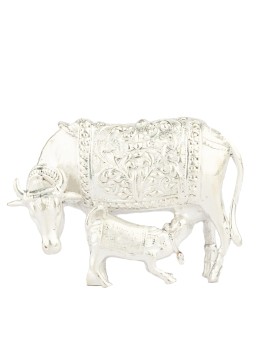 Cow Idol