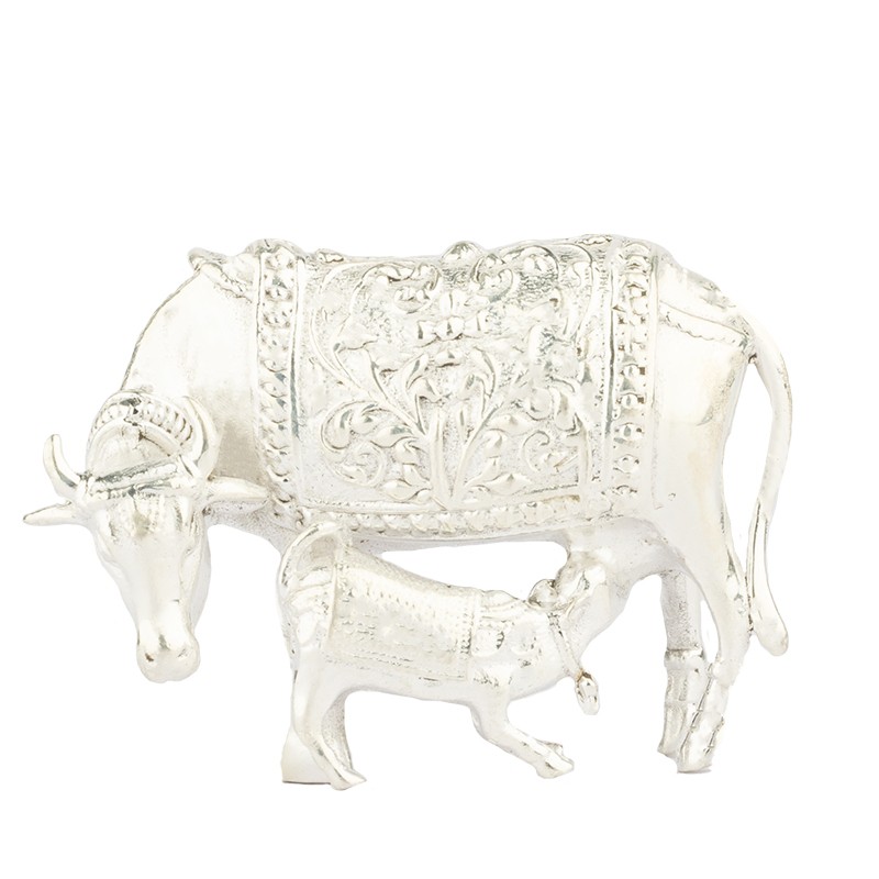 Cow Idol